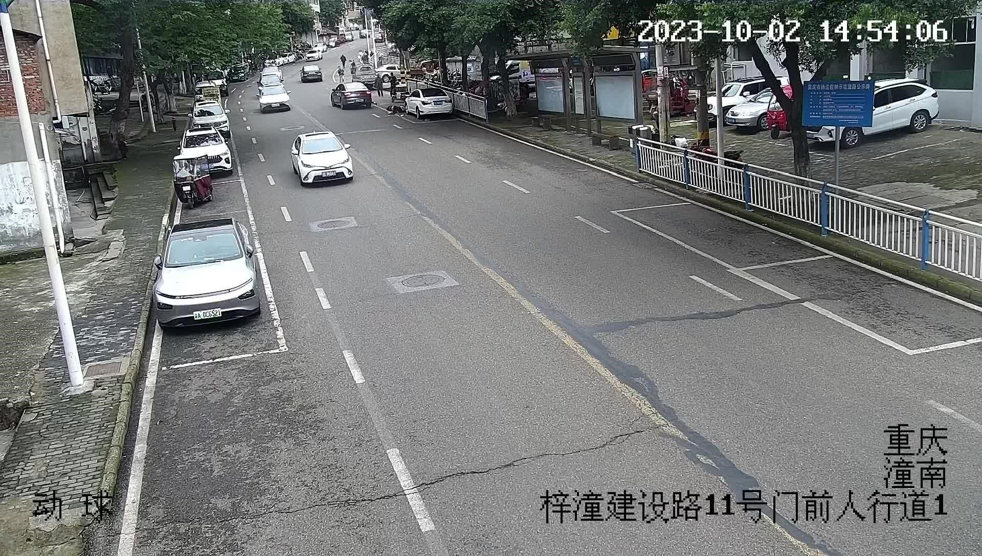 重庆潼南大佛街道建设路“10·2” 较大道路交通事故调查报告